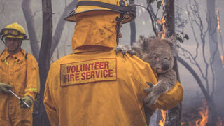 Australian Bushfires